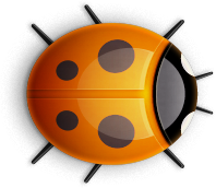 ladybug